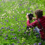 Sommerakademie Würzburg, Fotokurse, Fotoworkshops, Malreisen, Malkurse