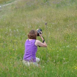 Sommerakademie Würzburg, Fotokurse, Fotoworkshops, Malreisen, Malkurse, grün, Landschaft, fotografieren